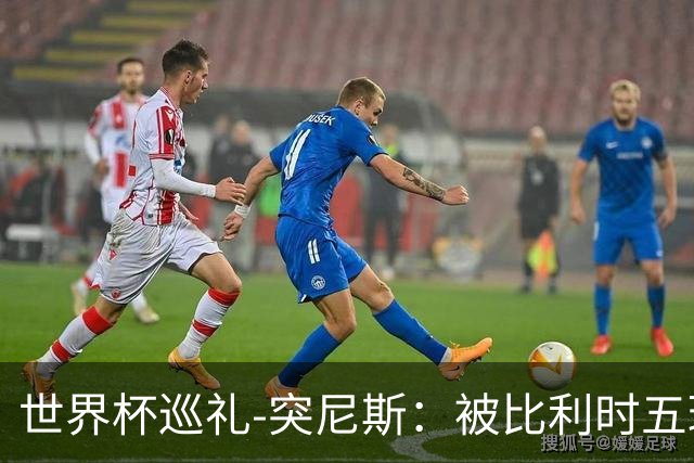 世界杯巡礼-突尼斯：被比利时五球“羞辱”，迦太基之鹰前途难测