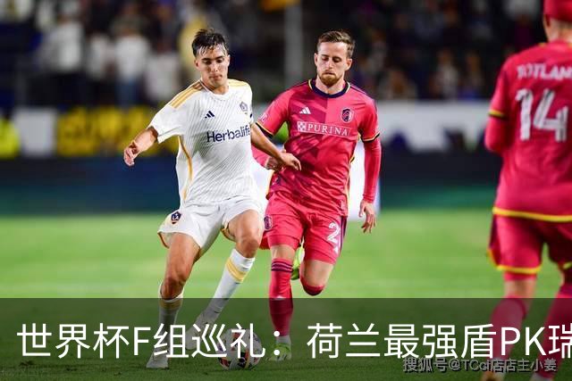 世界杯F组巡礼：荷兰最强盾PK瑞典犀利刀 日本短板明显