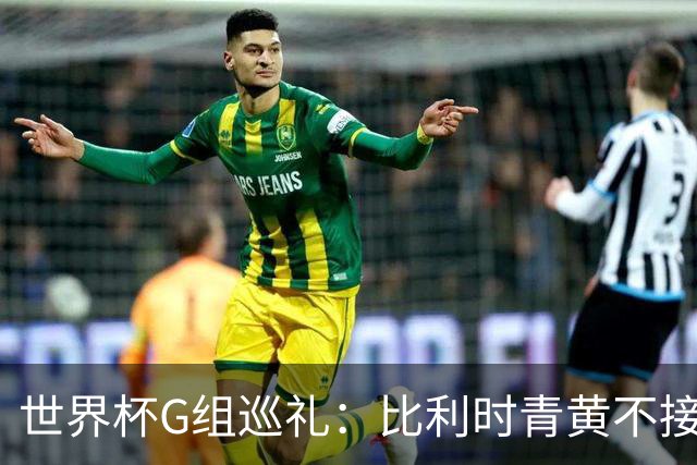 世界杯G组巡礼：比利时青黄不接 伊朗赴美参赛风波不断