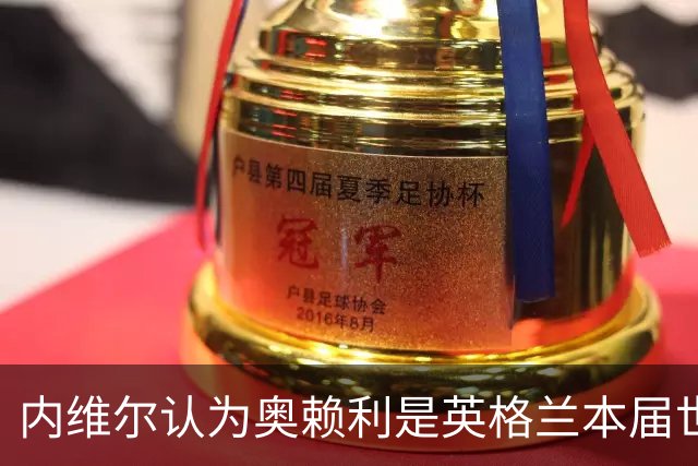 内维尔认为奥赖利是英格兰本届世界杯的惊喜，赖特选斯彭斯