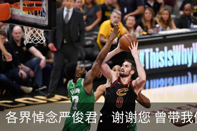 各界悼念严俊君：谢谢您 曾带我们“看世界”