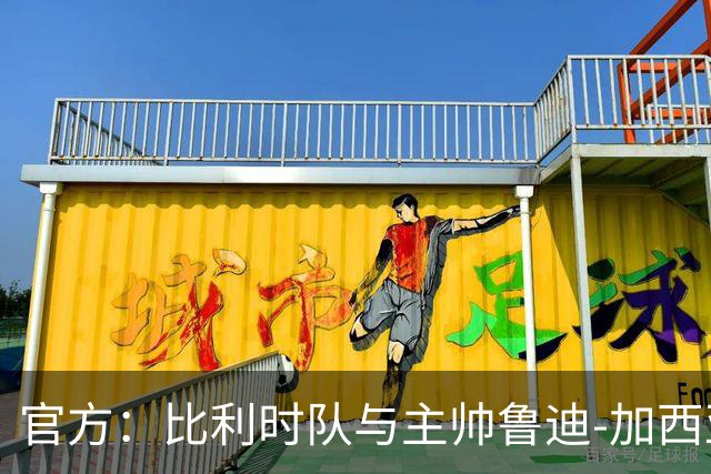 官方：比利时队与主帅鲁迪-加西亚到期不再续约