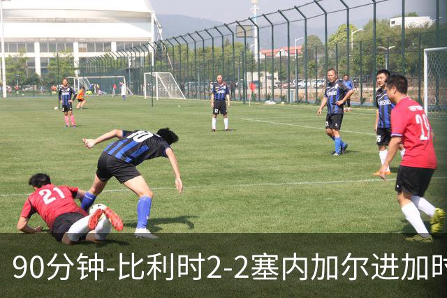 90分钟-比利时2-2塞内加尔进加时 卢卡库替补建功蒂莱曼斯绝平